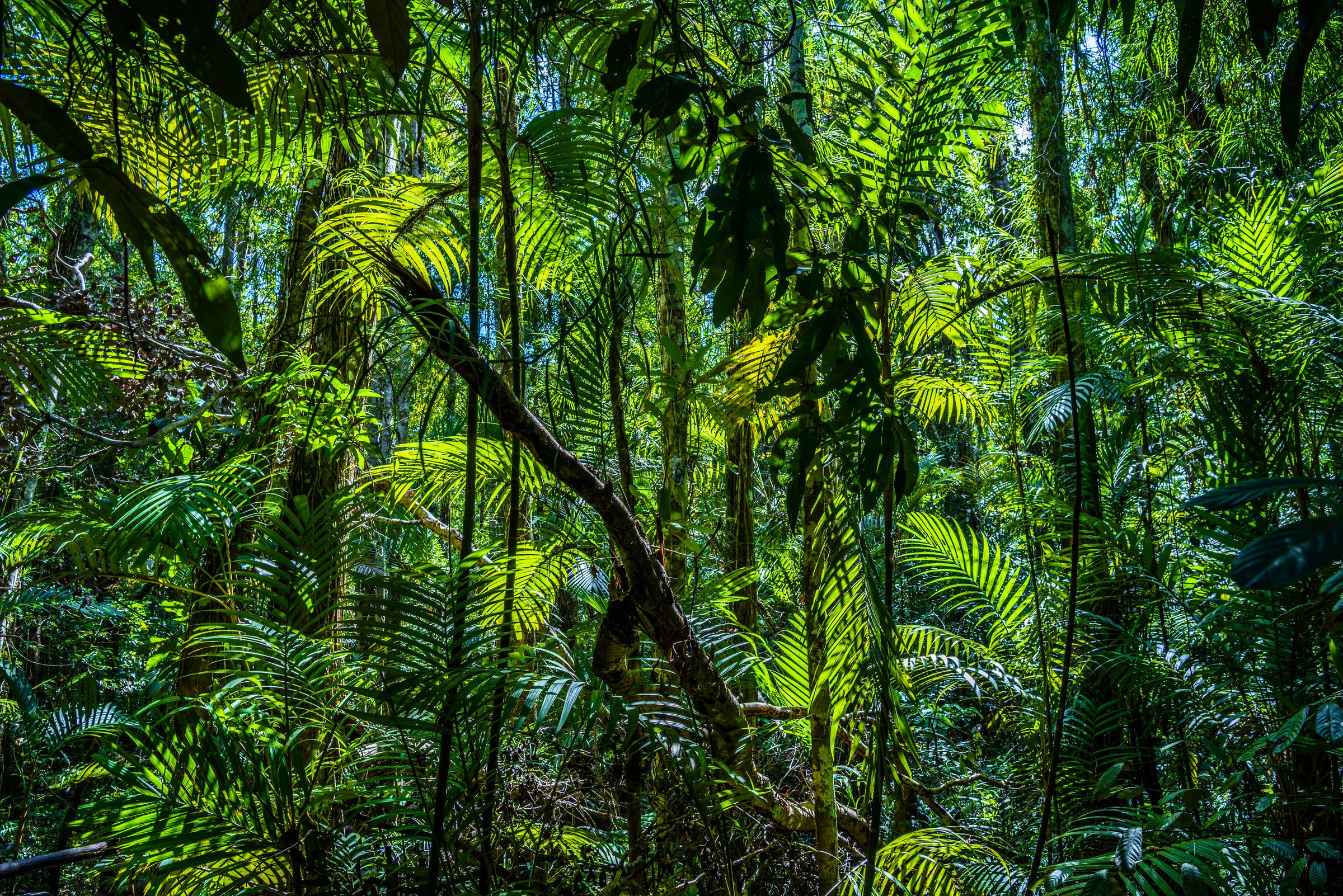 Un engagement environnemental vérifiable